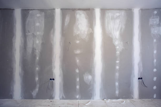 Professional Drywall & Painting Services in Oakville, MO